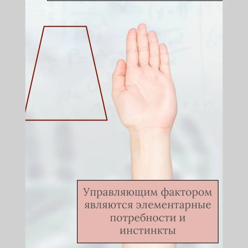 Если взглянув на руку в глаза бросается тяжелая ладонь и короткие пальцы, перед нами инстинктивная рука 