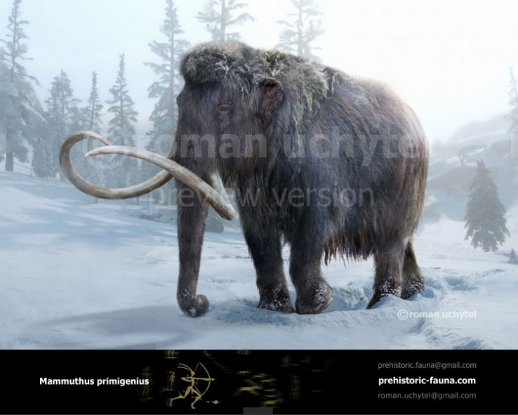 Мамонты, только ли шерстистые?