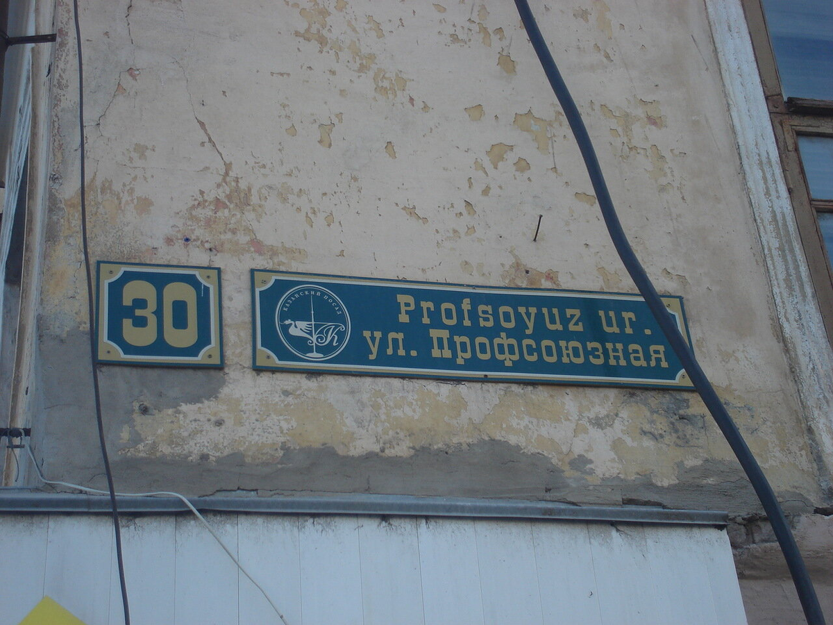 Здесь и далее иллюстрации из фотофиксации 2008 года