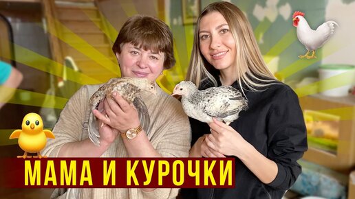 Влог с мамой - купили курочек, будем разводить, почём цыплята в Саратове