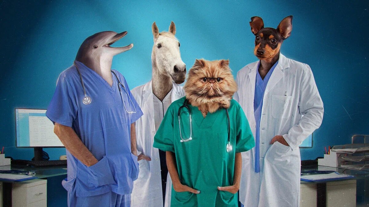 Иллюстрация: «Московские новости»