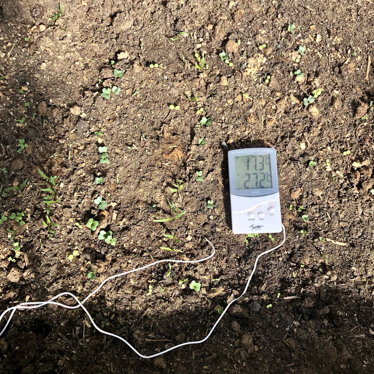 20 марта. Земля в теплице. Первая температура - грунт на глубине 10 см