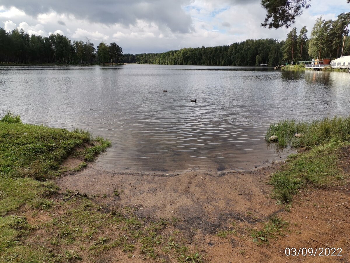 Коркинское озеро как место для отдыха 🏖️ и пикника 🏕️. Обзор территории  😊 | Растём вместе с детьми. Учу, играю, развиваю. 🤗 | Дзен