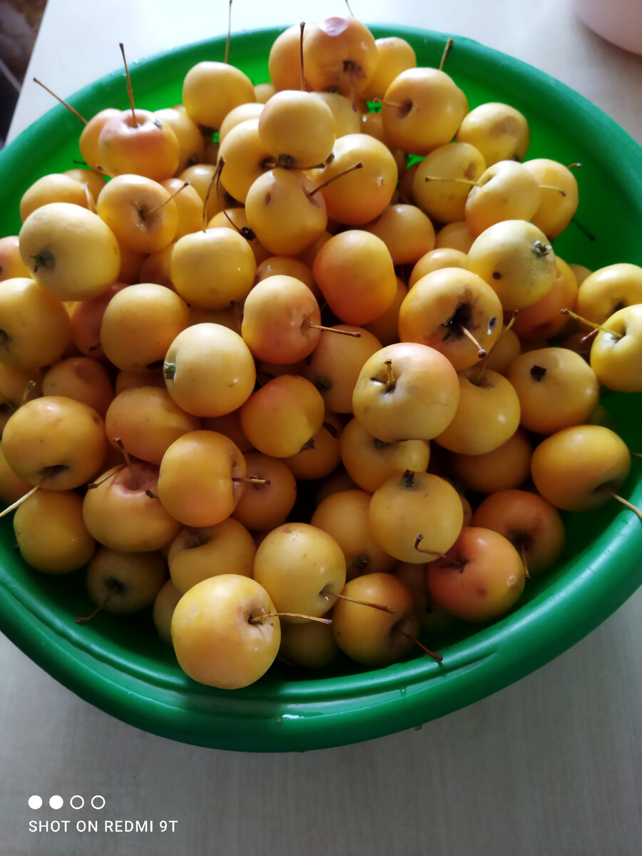 Вот ещё сколько добра! 