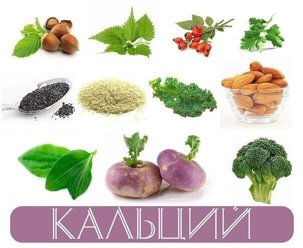 ✿ Мак 1460 мг/100 г✿ Кунжут 670 — 975 мг/100 г✿ Крапива 713 мг/100 г✿ Подорожник большой 412 мг/100 г✿ Семена подсолнечника 367 мг/100 г✿ Шиповник 257 мг/100 г✿ Миндаль 252 — 273 мг/100 г✿ Петрушка 245 мг/100 г✿ Лесной орех 226 мг/100 г✿ Амарант, семя 214 мг/100 г✿ Кресс-салат 214 мг/100 гВ то время как в коровьем молоке его содержание всего 120 мг/100 г, а в твороге 80 мг/100.prostoozdorovie