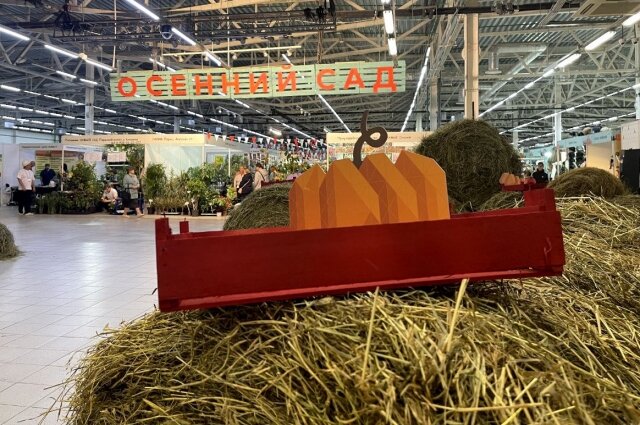    Фото:  АиФ/ Татьяна Титова