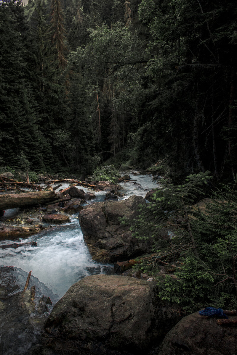 ".. горные леса и реки Кавказа!"