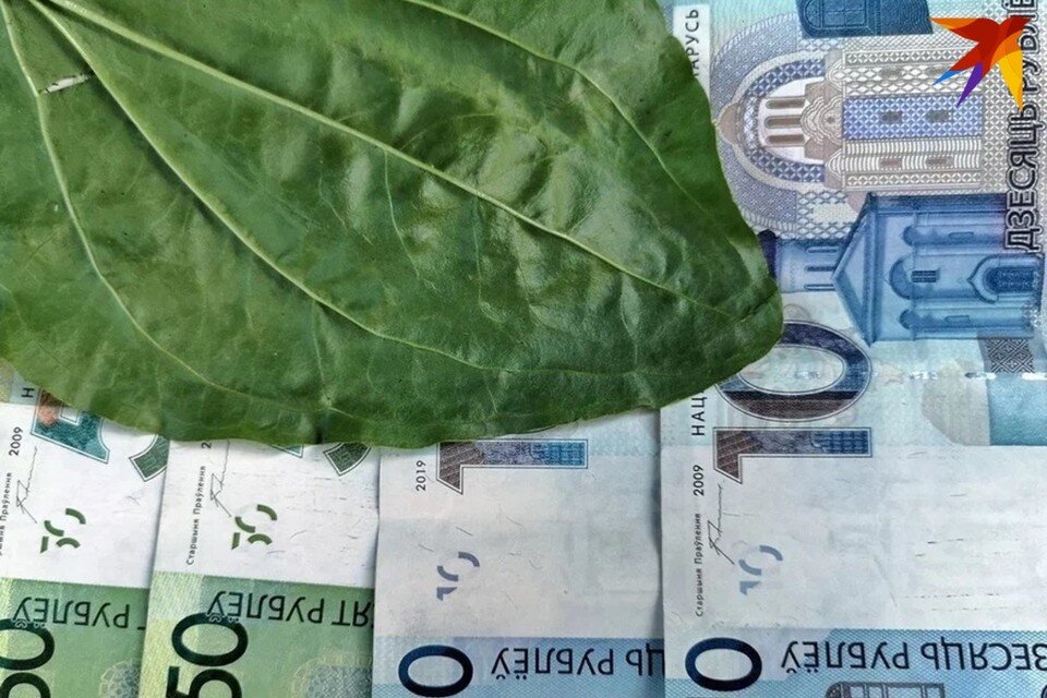     В Солигорске директор турфирмы присвоил деньги клиентов на сумму более 47 тысяч рублей. Снимок носит иллюстративный характер. Таисия ЧЕРНУХО