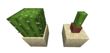 Нормально. Фото из интернета 