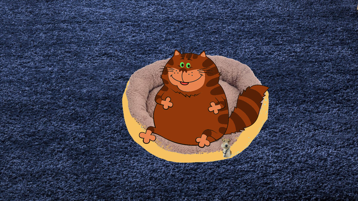 Таких мягких котиков много. Пишите комментарии, ставьте лайк, подписывайтесь на канал