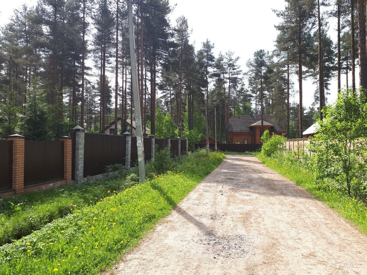 Яндекс.картинки