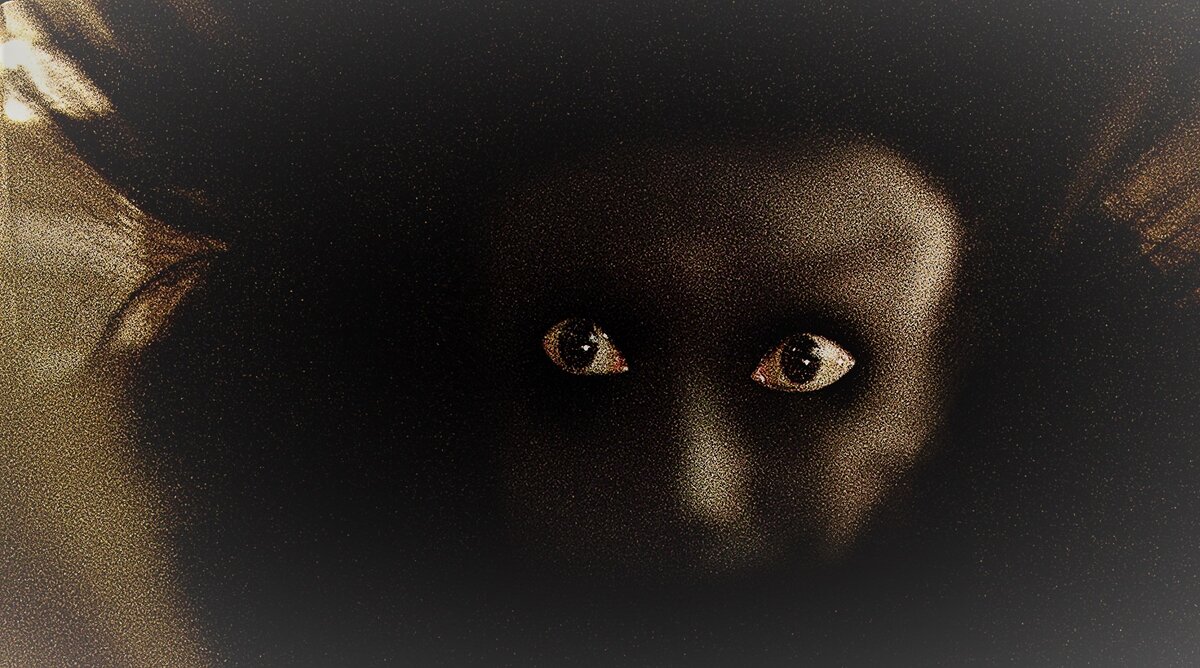 фото из открытых источников.