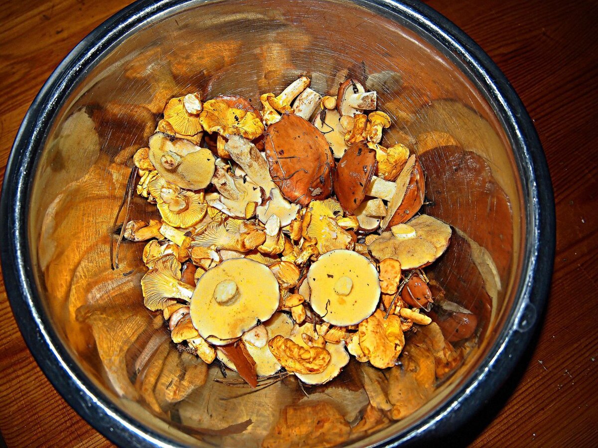 Маслёнок получил своё название из-за скользкой шляпки и характерной слизи, которая иногда выступает на шляпке  большими каплями. Масленок относится к категории съедобных грибов и встречается в летнее время.
Это представитель класса Агарикомицетов семейства болетовые.Внешне ложные маслята сильно похожи на настоящие. 
Главное отличие – цвет. У настоящих грибов окрас насыщенных оттенков фиолетового и жёлтого, а у ложных маслят – 
коричневого и серого.Маслёнок – небольшой гриб. Его средний размер – 10-15 см. Крупная темная шляпка соединяется 
с продолговатой ножкой. Встречаются как маленькие, так и большие виды. Самый большой масленок – 20 см в диаметре.