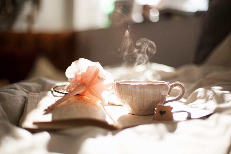 Фото: pixabay.com
