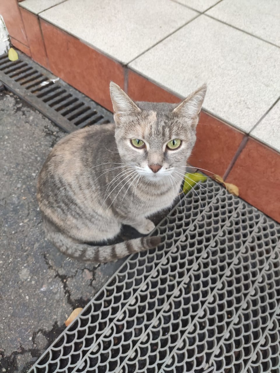 Марфа, осень 2020