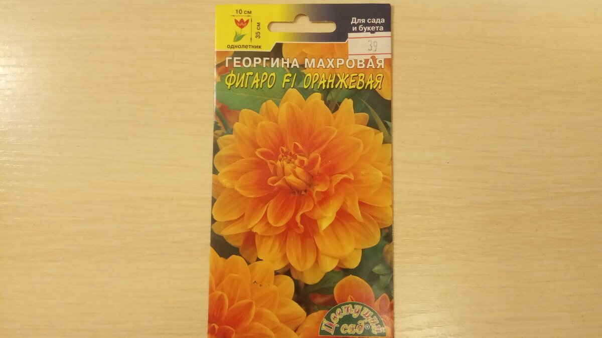 Вот такая она георгина махровая Фигаро F1 оранжевая