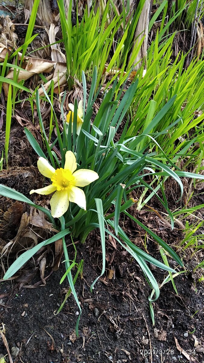 А вот это уже греет душу и радует глаз!