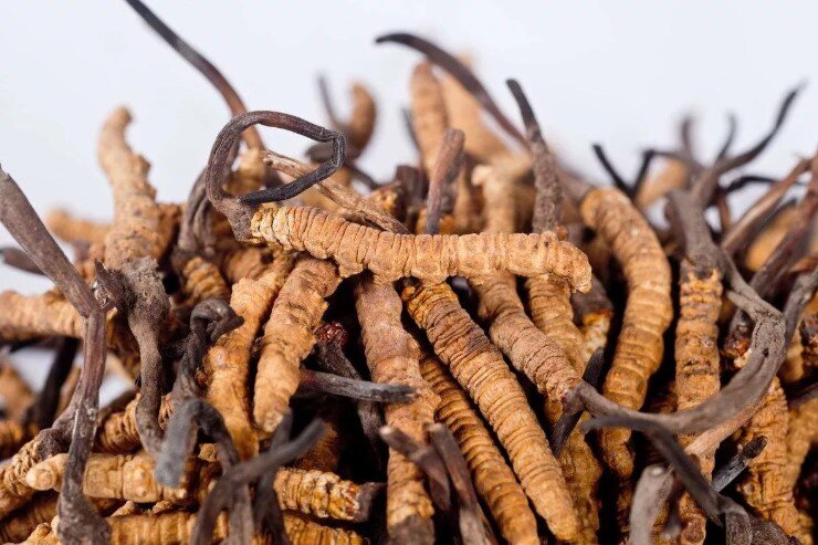 Фото из интернета