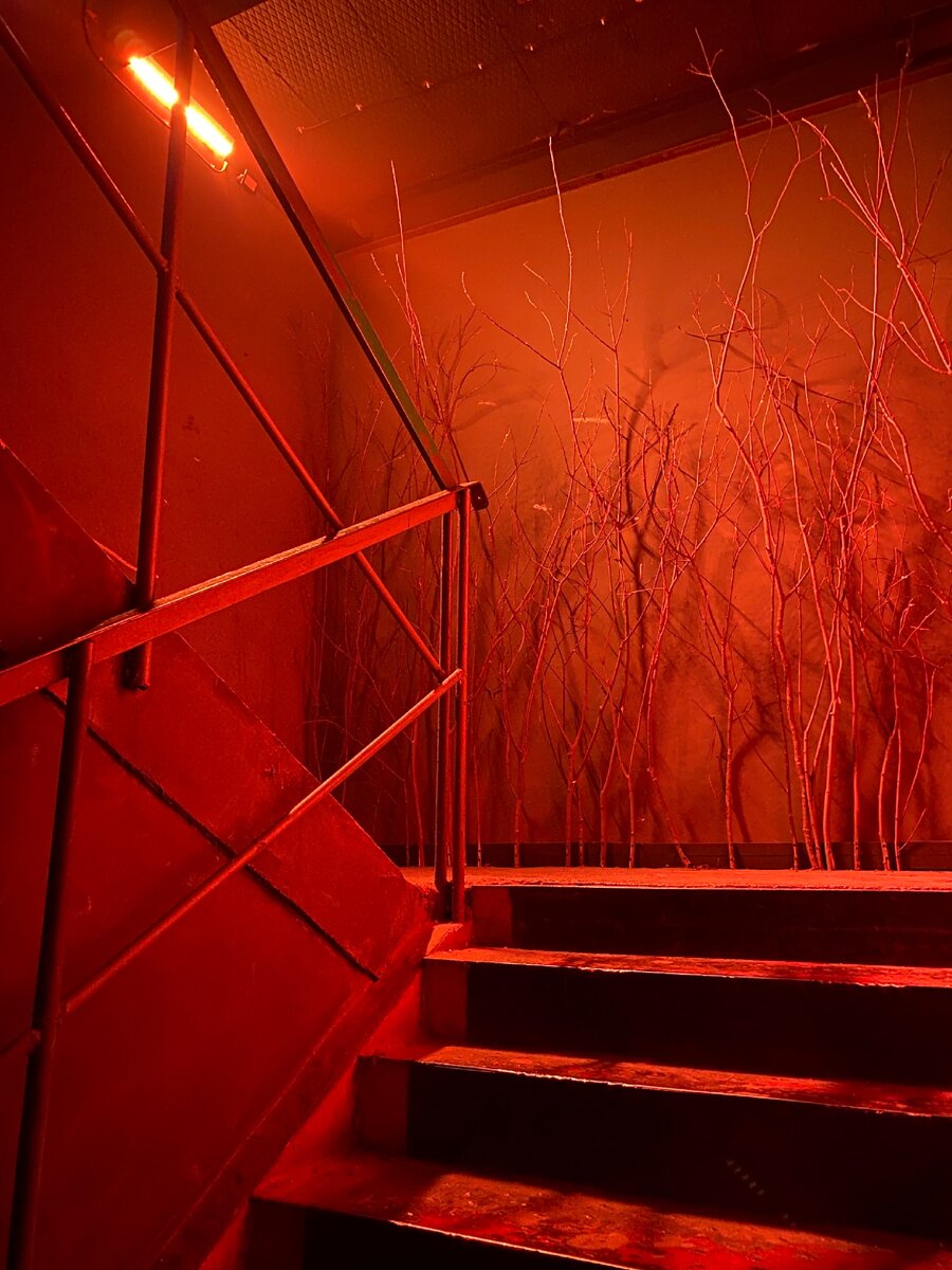 Мультимедийное пространство на территории Севкабель Порт, разделённое на тематические зоны, оформленные современными медиа-артистами двух столиц. Каждый гость здесь становится исследователем вселенной аудиовизуального, дружелюбного и технологичного искусства. 
