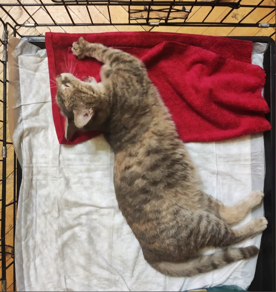 Но это ночью...