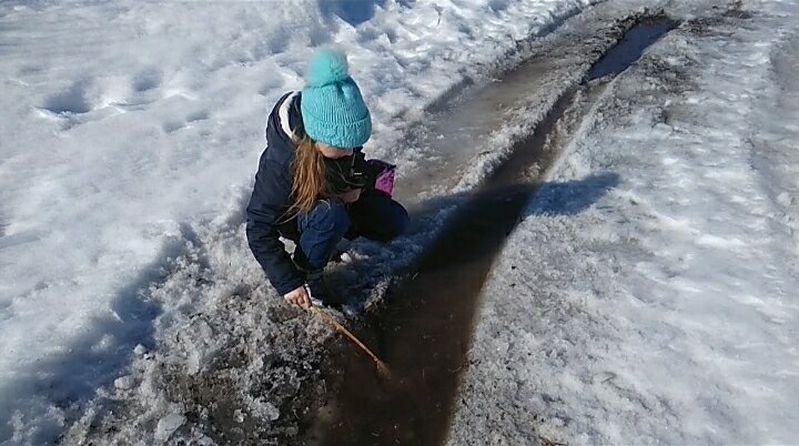 Ручейки весенние...