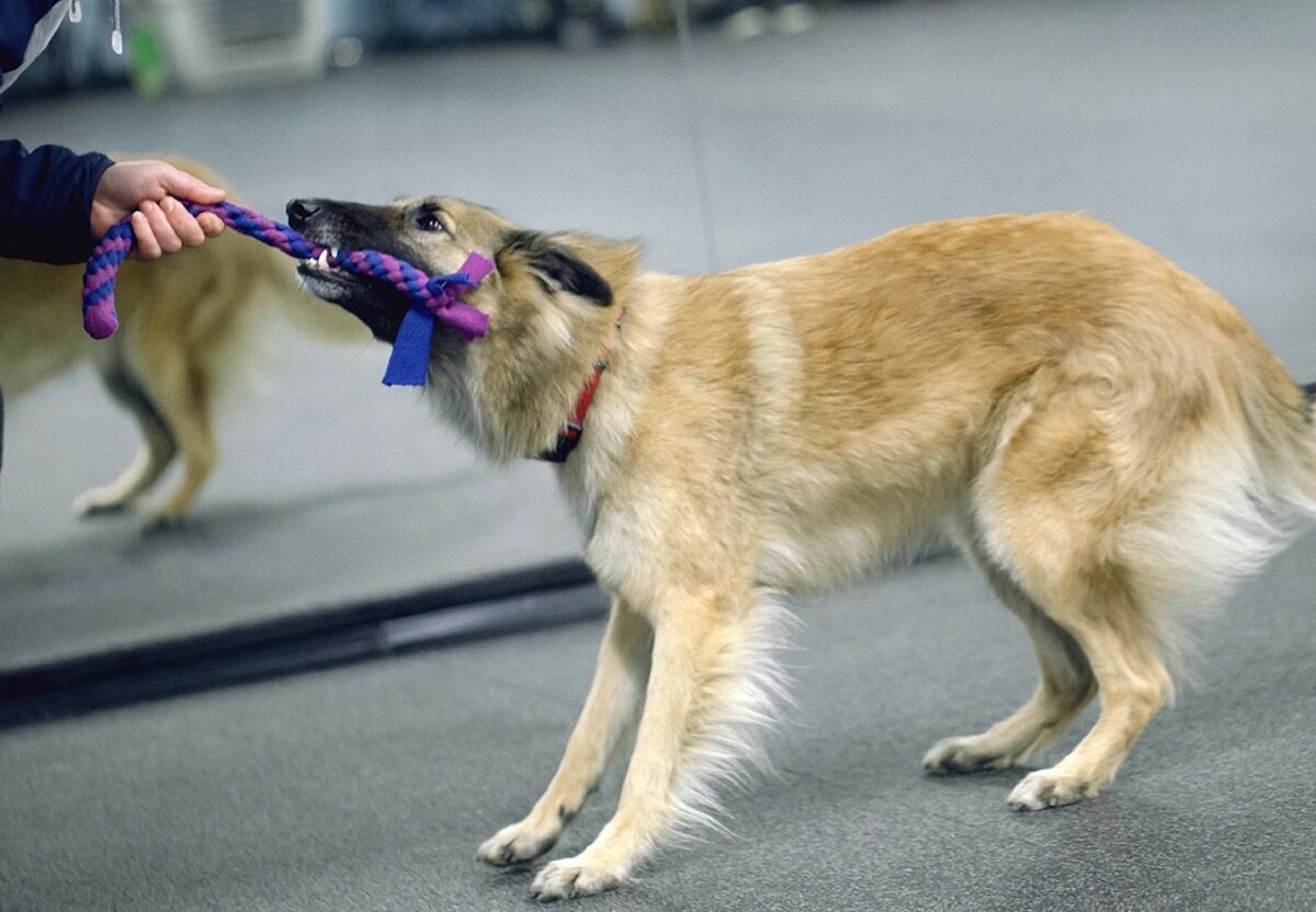 -2