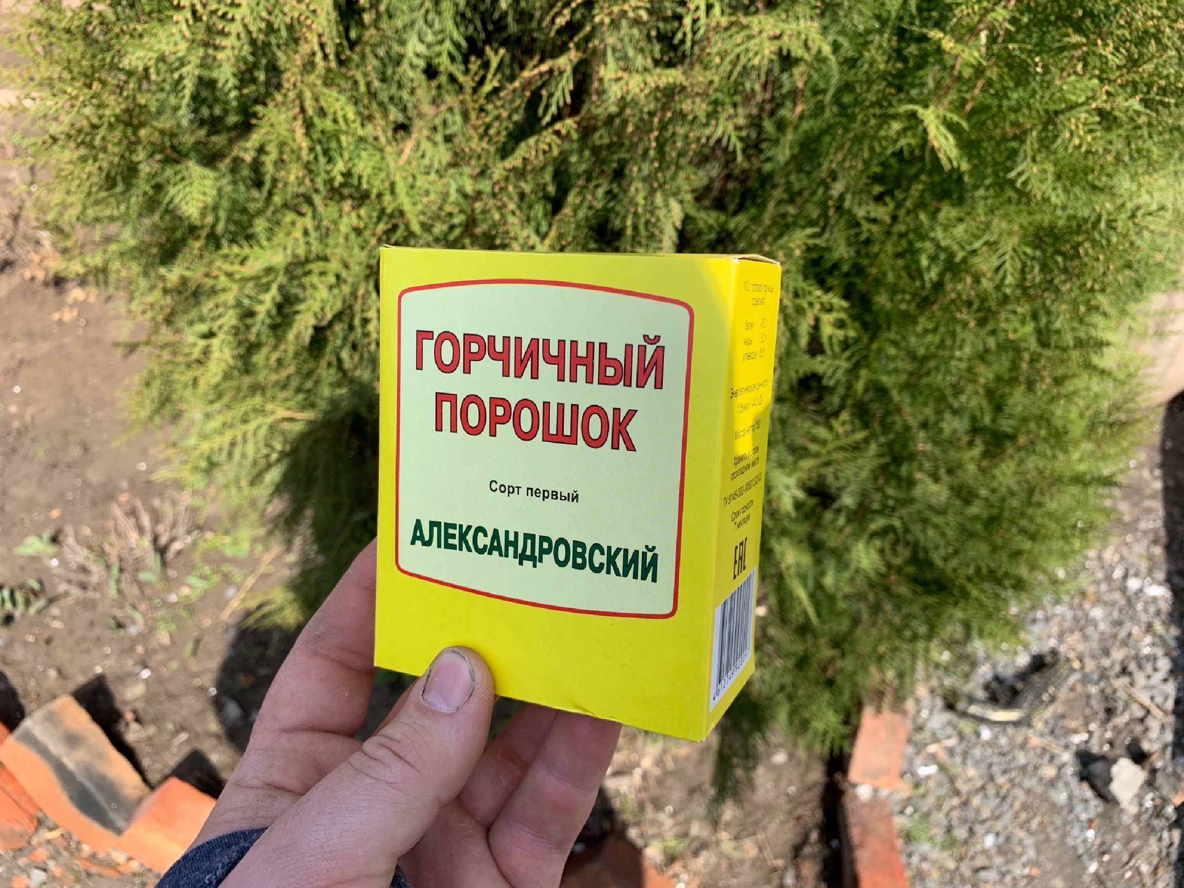 Теперь коты не метят деревья, а обходят их стороной. Народное средство (без химии) от кошачьих меток по цене буханки хлеба2