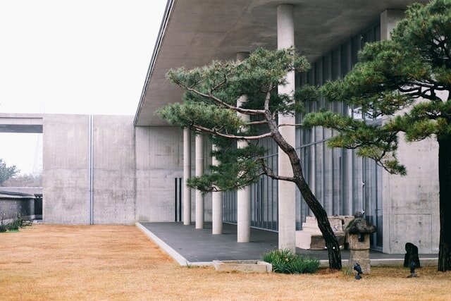 Photo by Kawai So on Unsplash