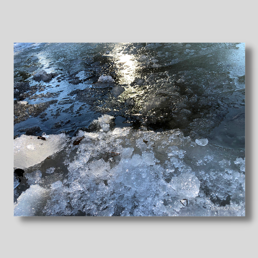 Личные фотофайлы. Инстаграм dory_panic