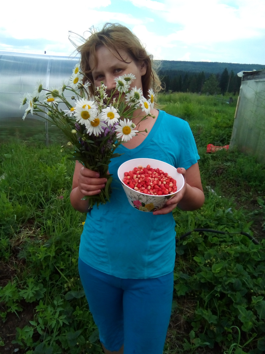 Лесная земляника, ромашки и я!