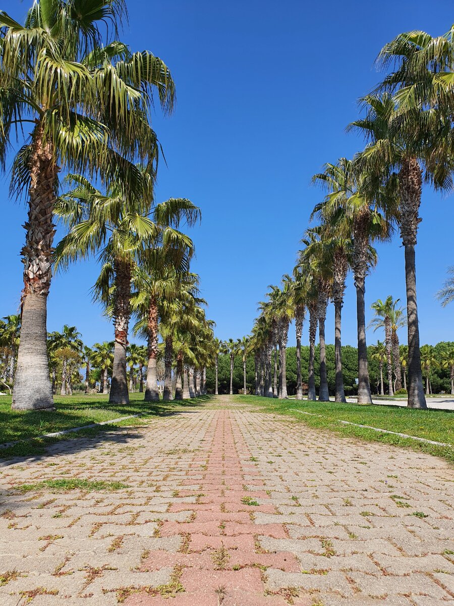 Парк перед входом в историческую часть