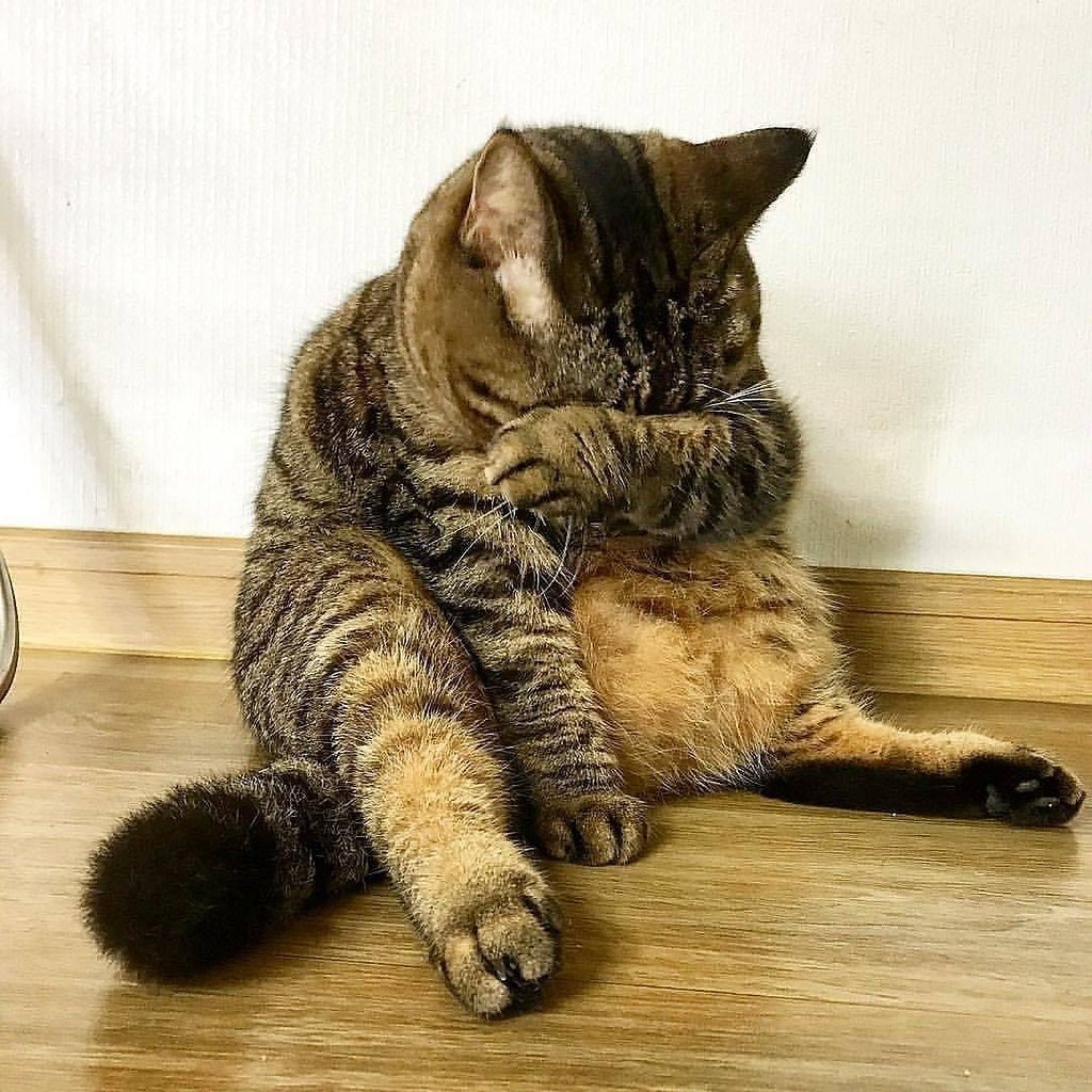 Боль - плата за любовь