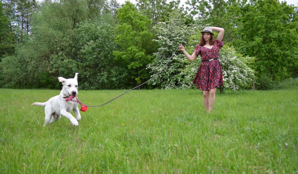 Мячик - любимая игрушка.