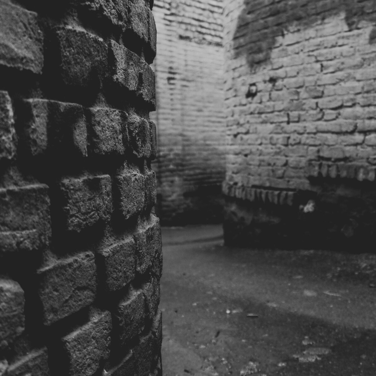 "Настоящая история злой мачехи", Екатерина Широкова. Фото Sepehr Behnamifar on Unsplash