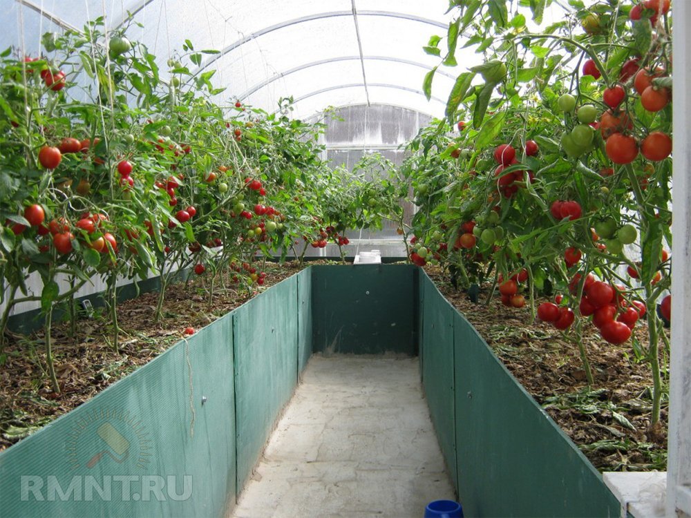 Фото kryuckom.ru