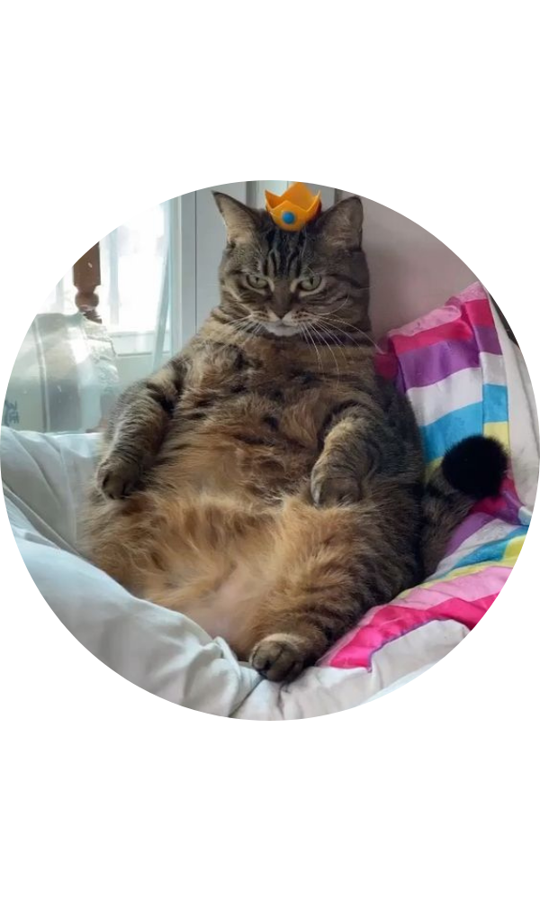 Неси мне всё!