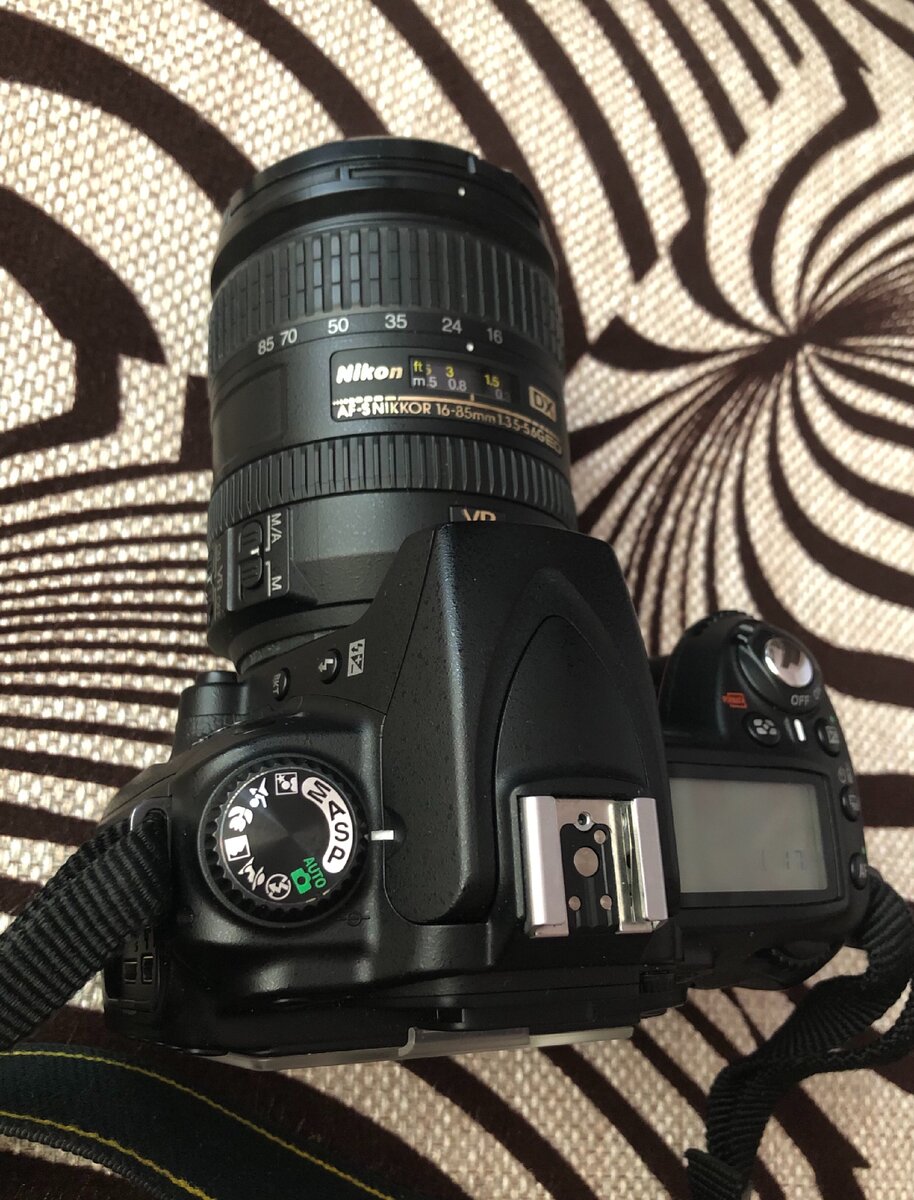 Фото Ксения Китти