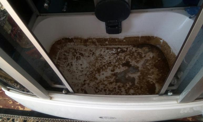 Гражданский патруль