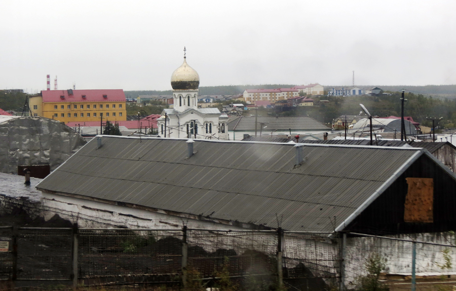 Полярная сова харп фото