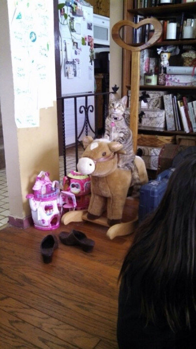 Источник: www.reddit.com