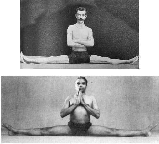 Сверху – "Анатомия человека-змеи", Томас Дуайт, Scribners's Magazine, апрель 1989. Снизу – "Прояснение йоги", Б. К. С. Айенгар, 1966.