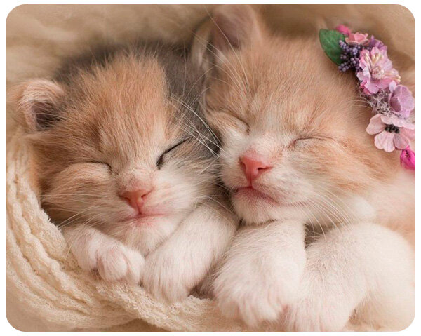 Источник: classpic.ru