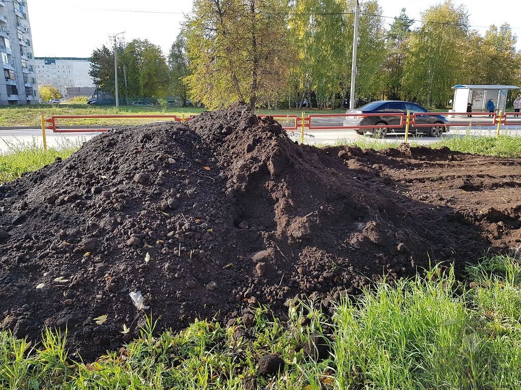 В растительном грунте могут попадаться небольшие ветки