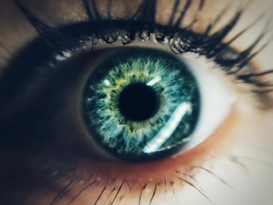 eye