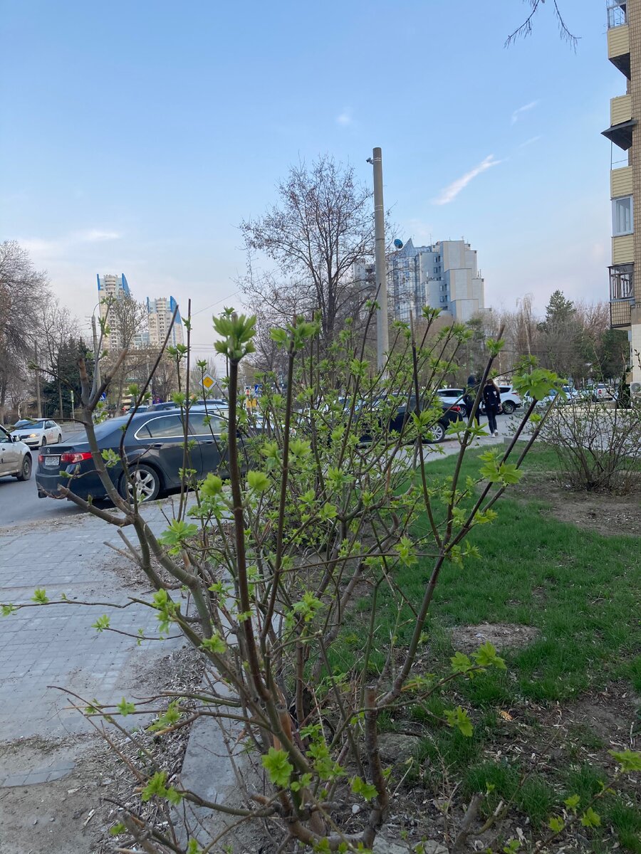 Ну вот как-то так... Даже не верится, что неделю назад еще была зима.