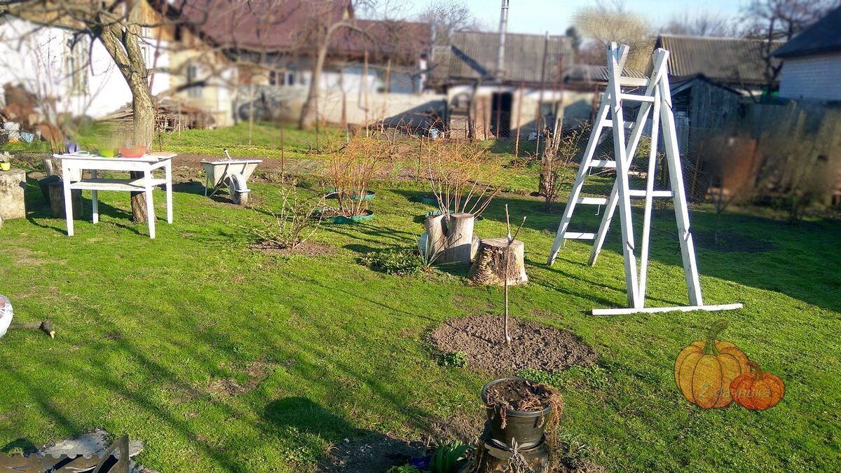 Так выглядит двор этой весной. (Листайте➡)