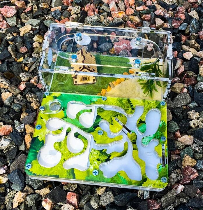 Акриловый формикарий