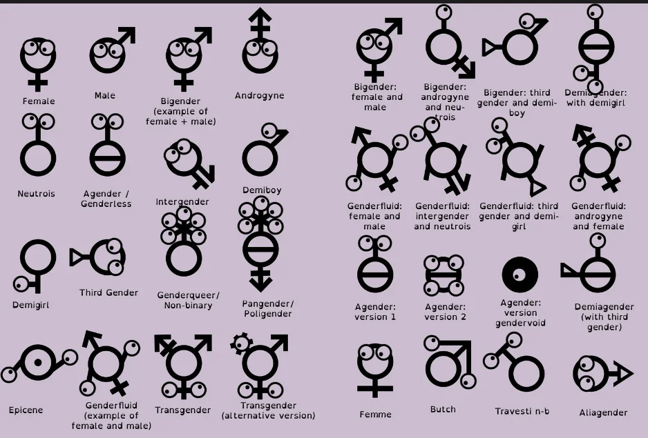 33 пола. Гендеры. Символы гендера. Таблица ориентаций и гендеров. Список всех гендеров.