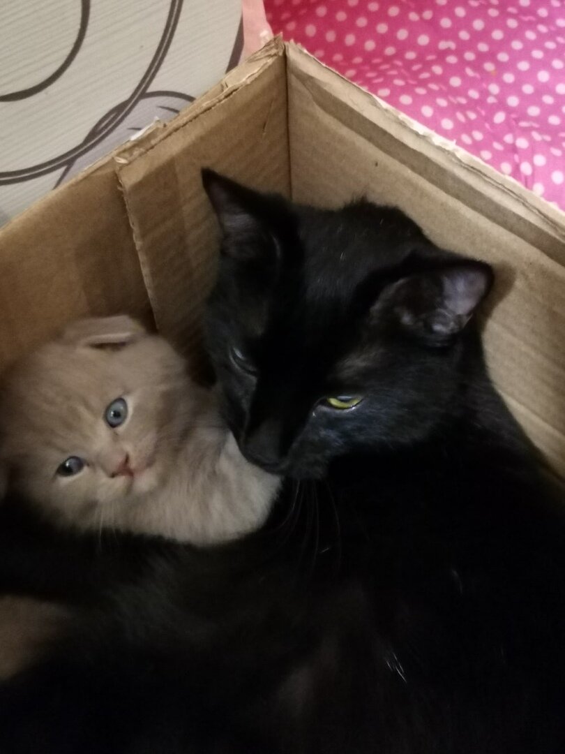 Самый уютный дом