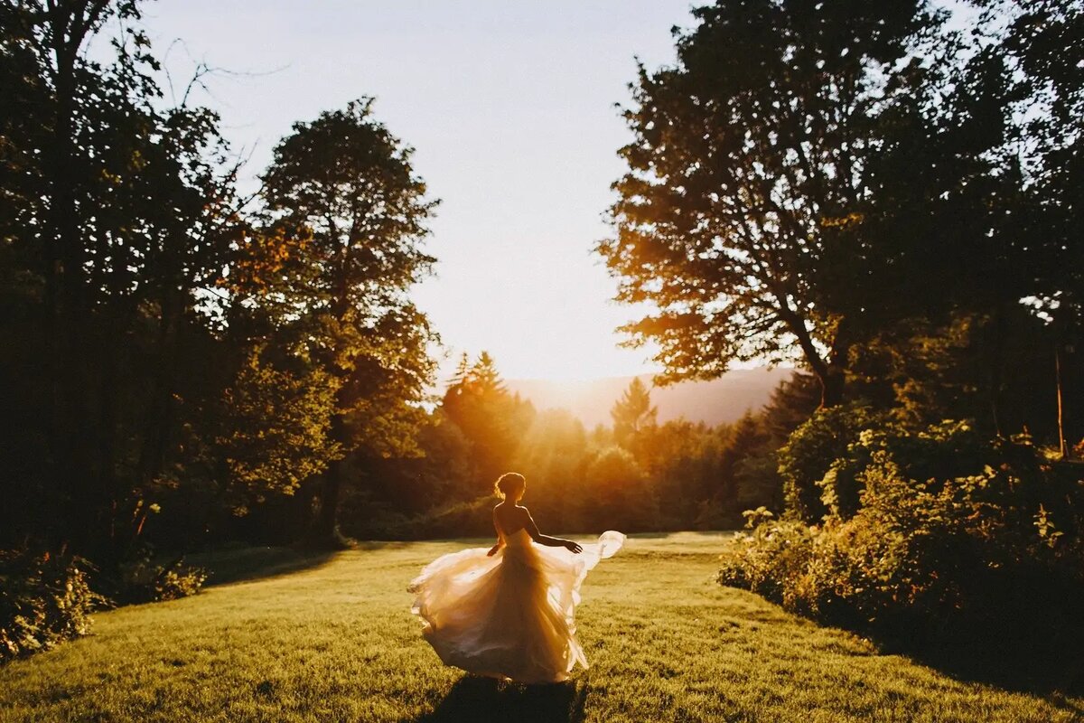 Яндекс-картинки